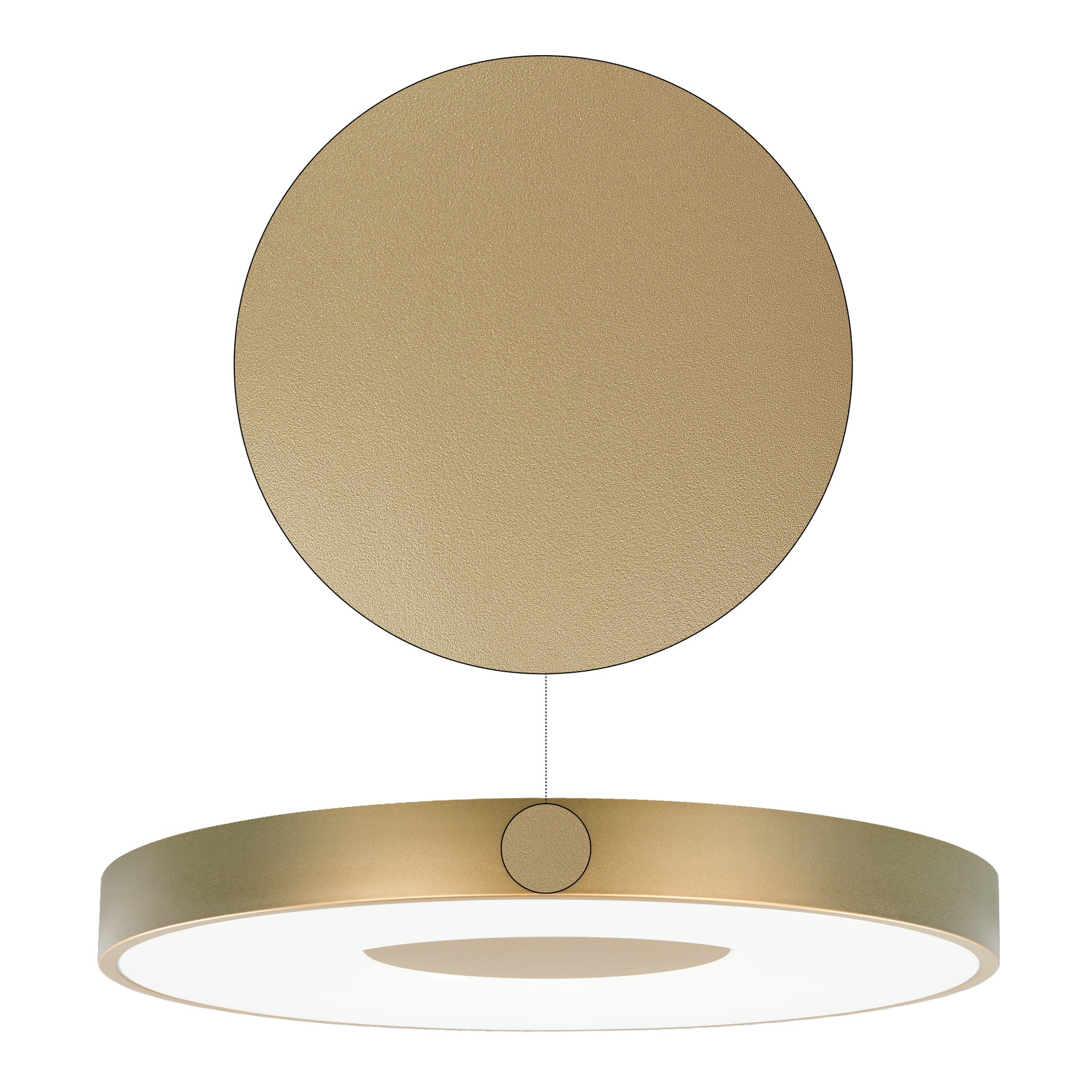 Coin · Plafones · Oro