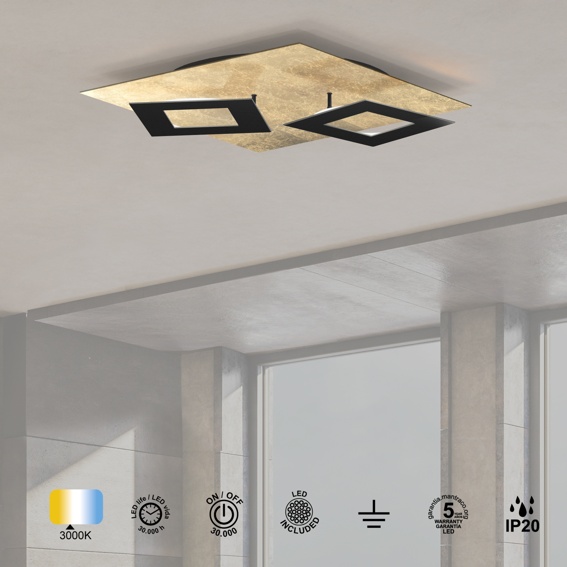 DALIA * SQUARE CEILING 24W+24W - GOLD + BLACK