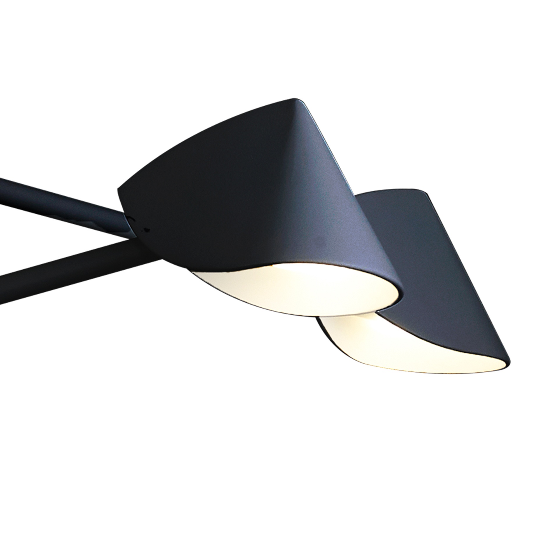 CAPUCCINA * LED PENDANT 55W
