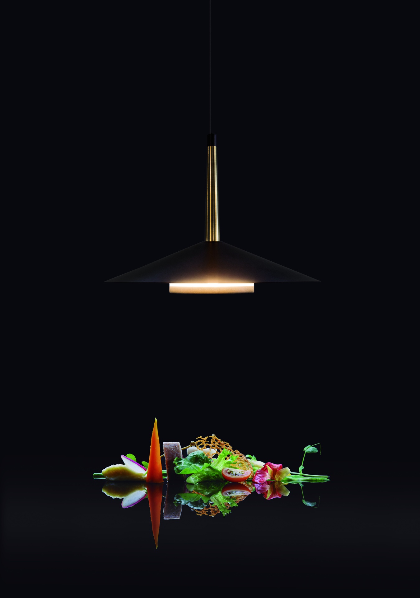 ORION * COLGANTE LED NEGRO/CUERO  1L*8W 3000K