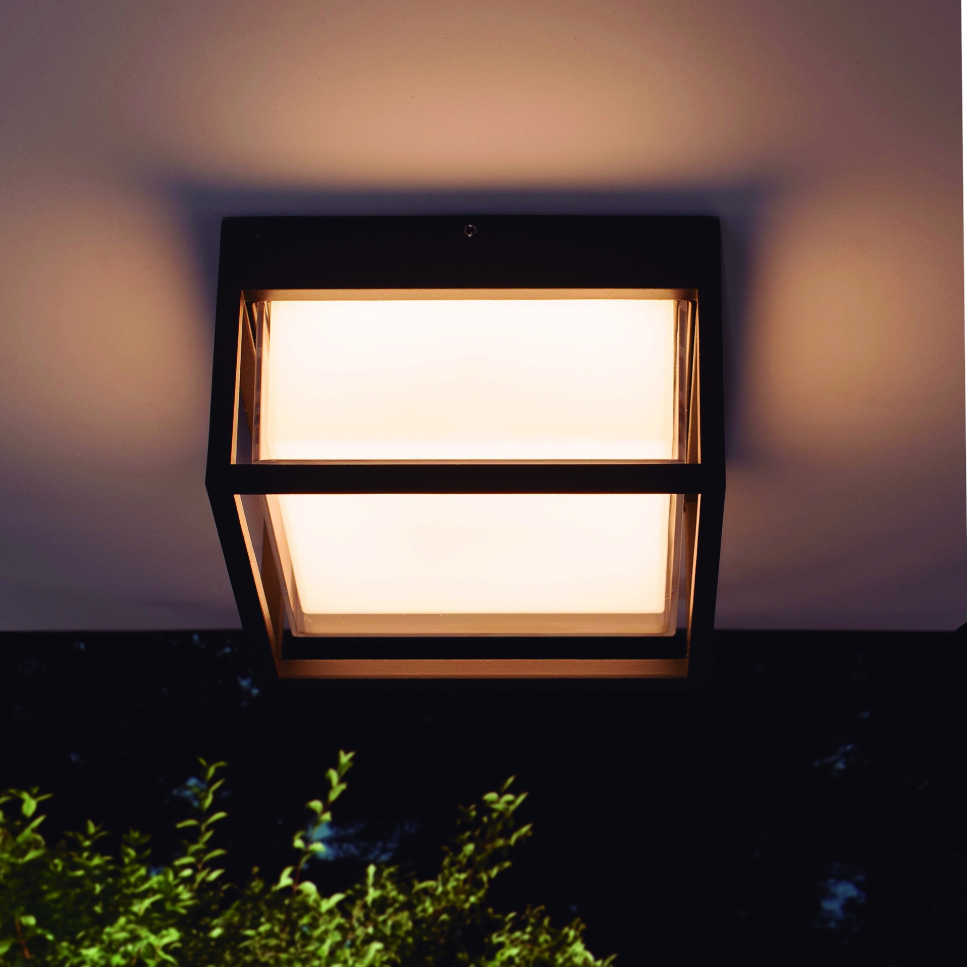 CHAMONIX * CEILING/EXTERIOR WALL LAMP DARK GREY LED IP65 - 9W  - CCT 2700K-3200K-4000K