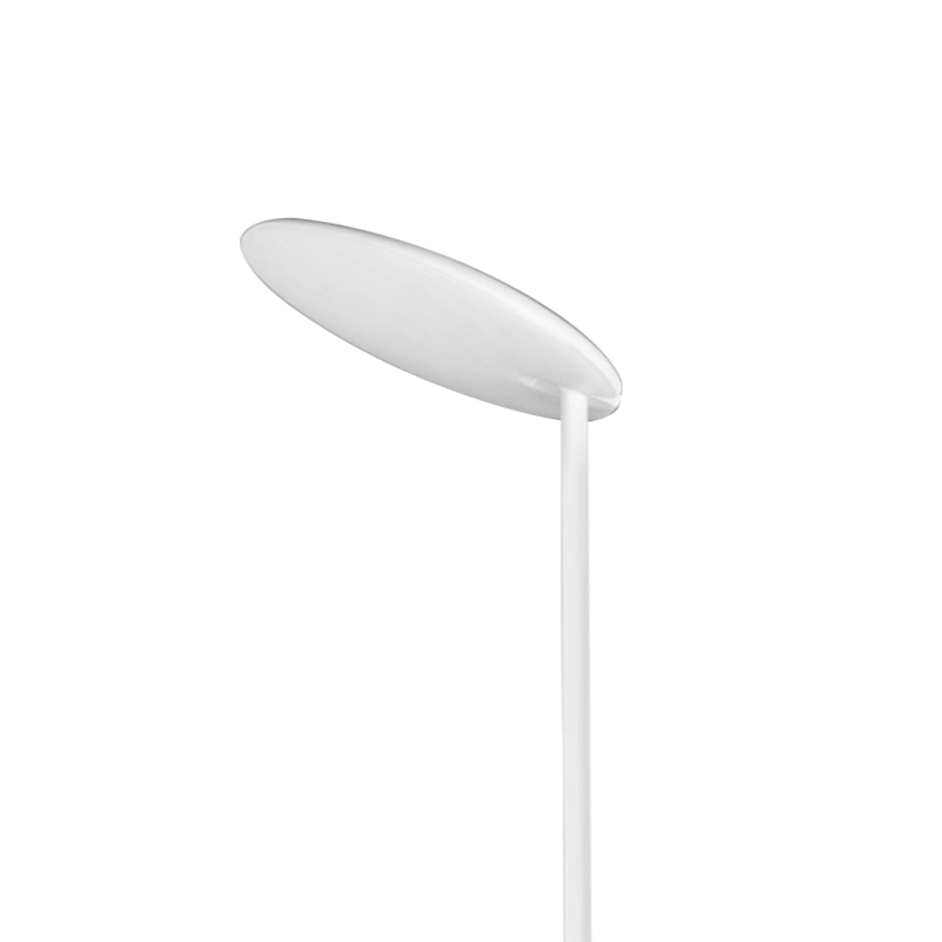 NASSAU * PIANTANA 30W 3000K DIM BIANCO