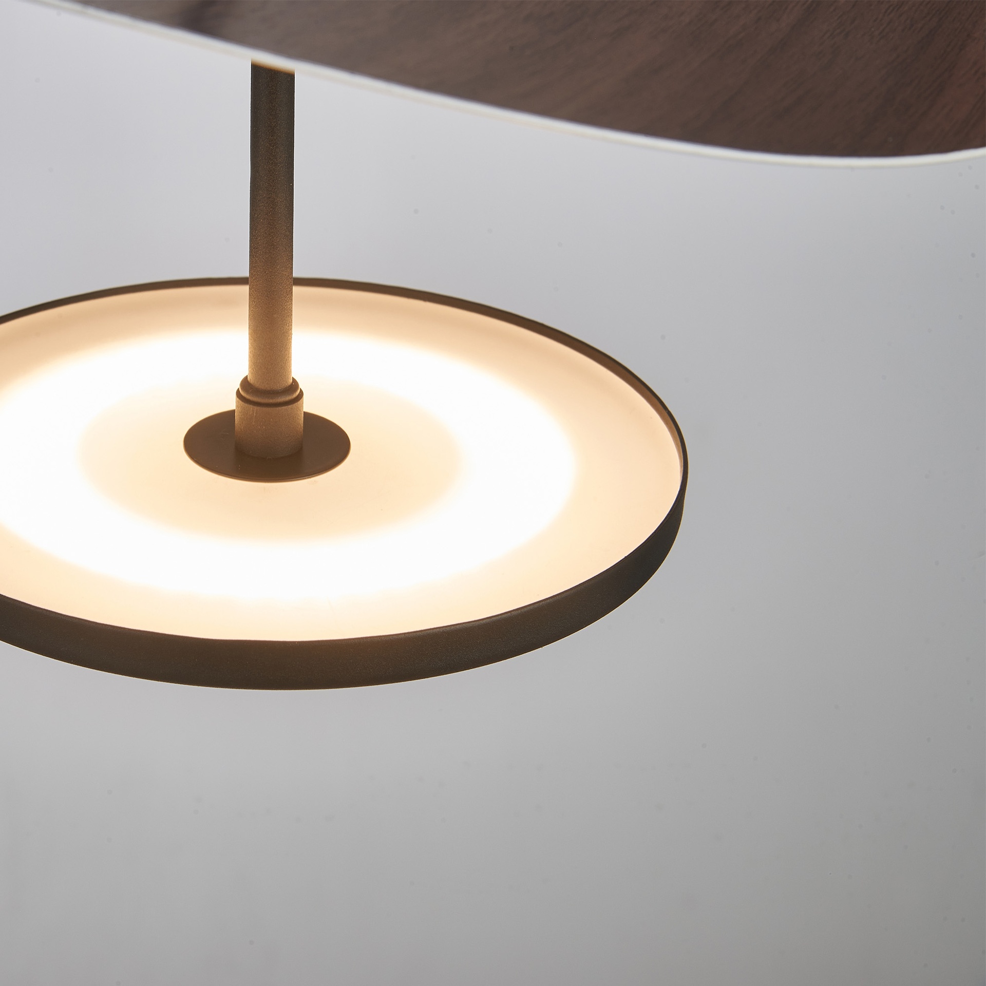 ABISAL * Pendant light LED 1 lights 18W CCT 2700-5700K