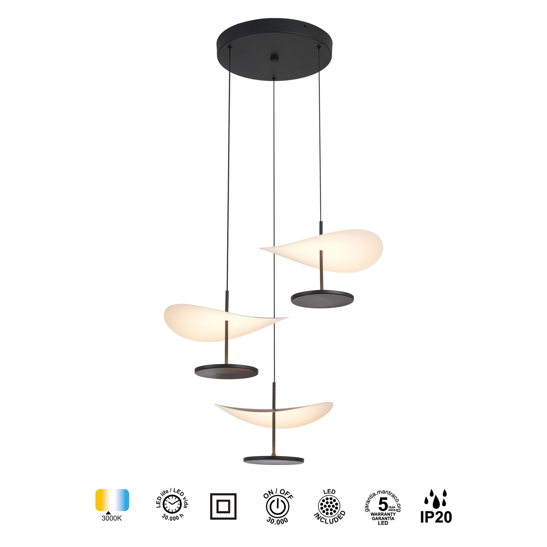 Abisal · Luminarias de techo · Nogal / Negro