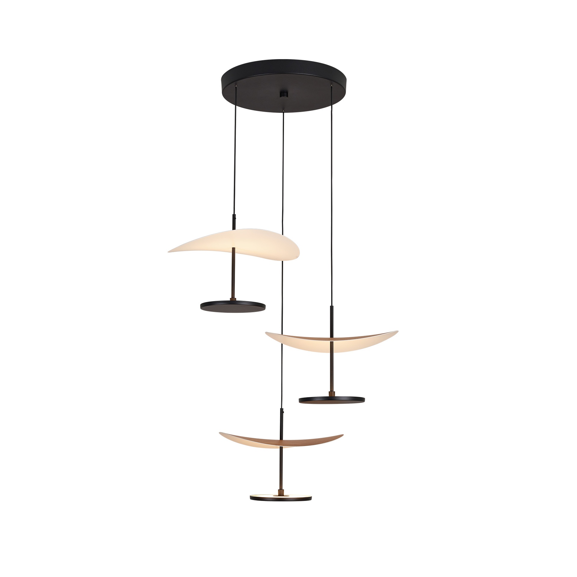 Abisal · Lampade da soffitto · Faggio / Nero