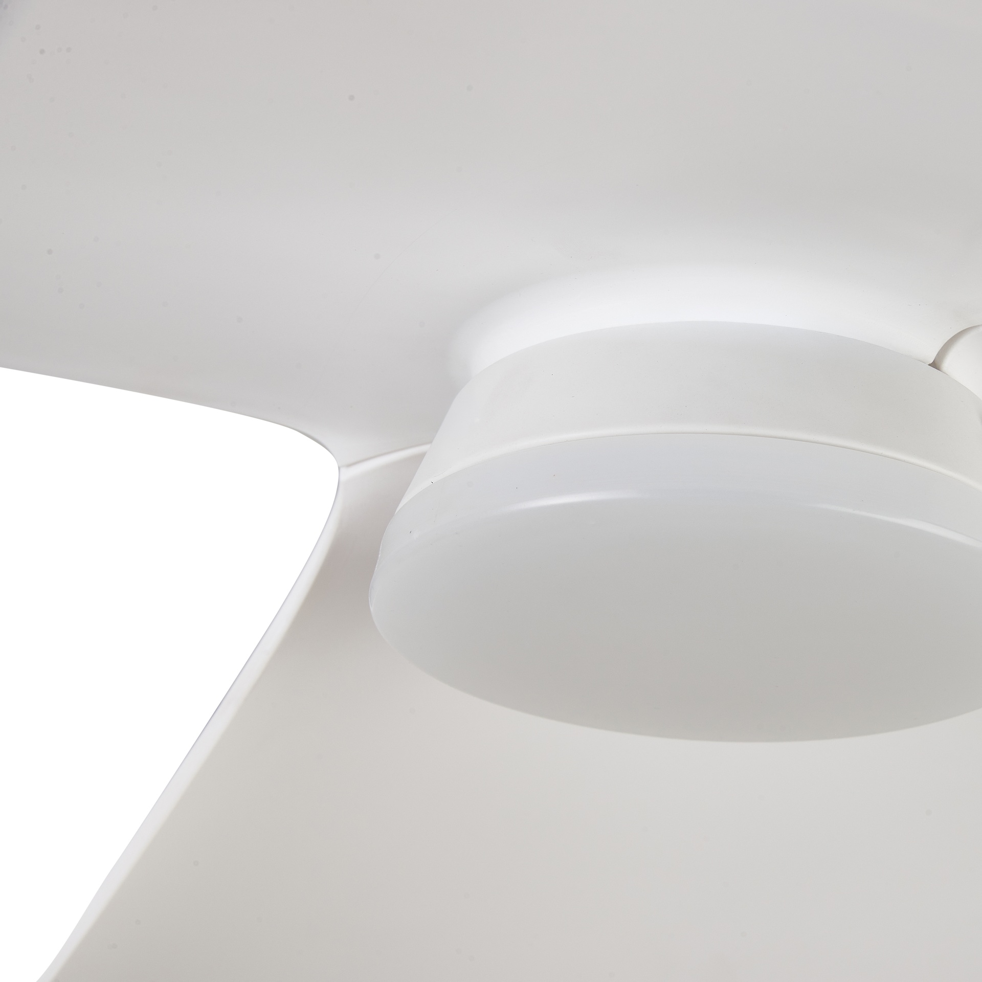 ONA * CEILING FAN  - WHITE