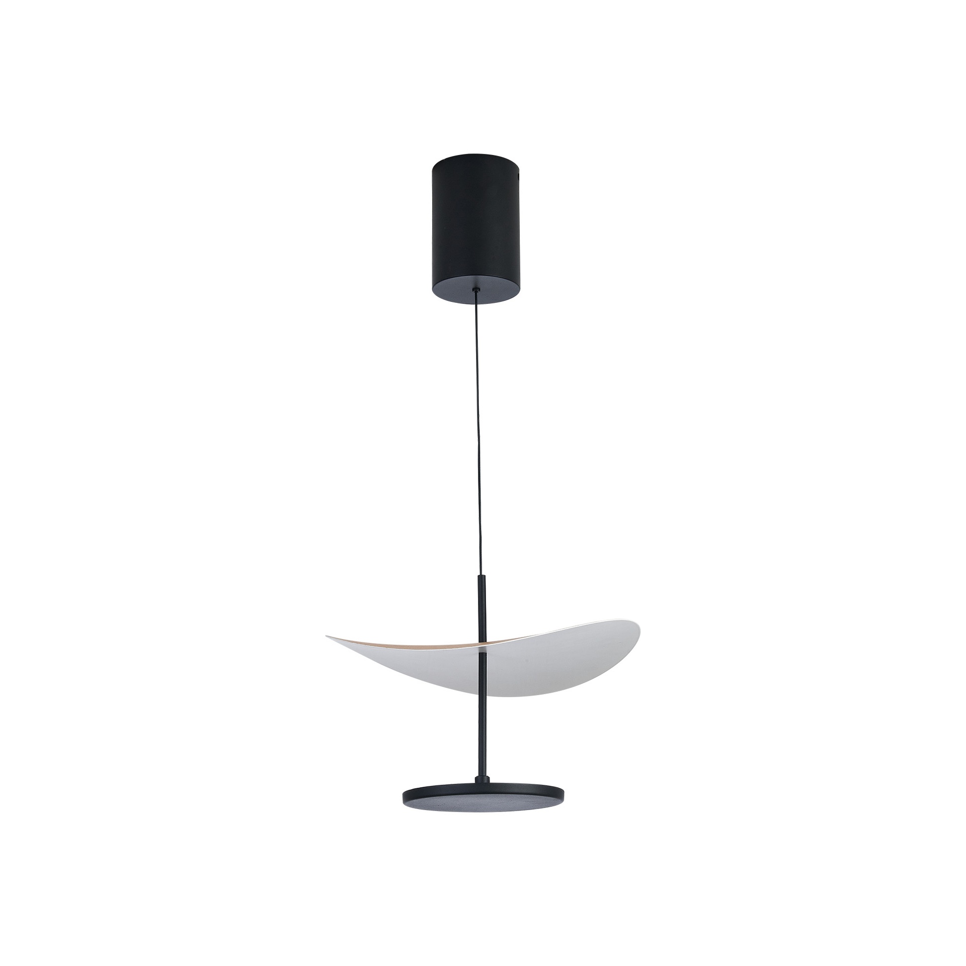 ABISAL* PENDANT LAMP LED 12W CCT 2700-5700K
