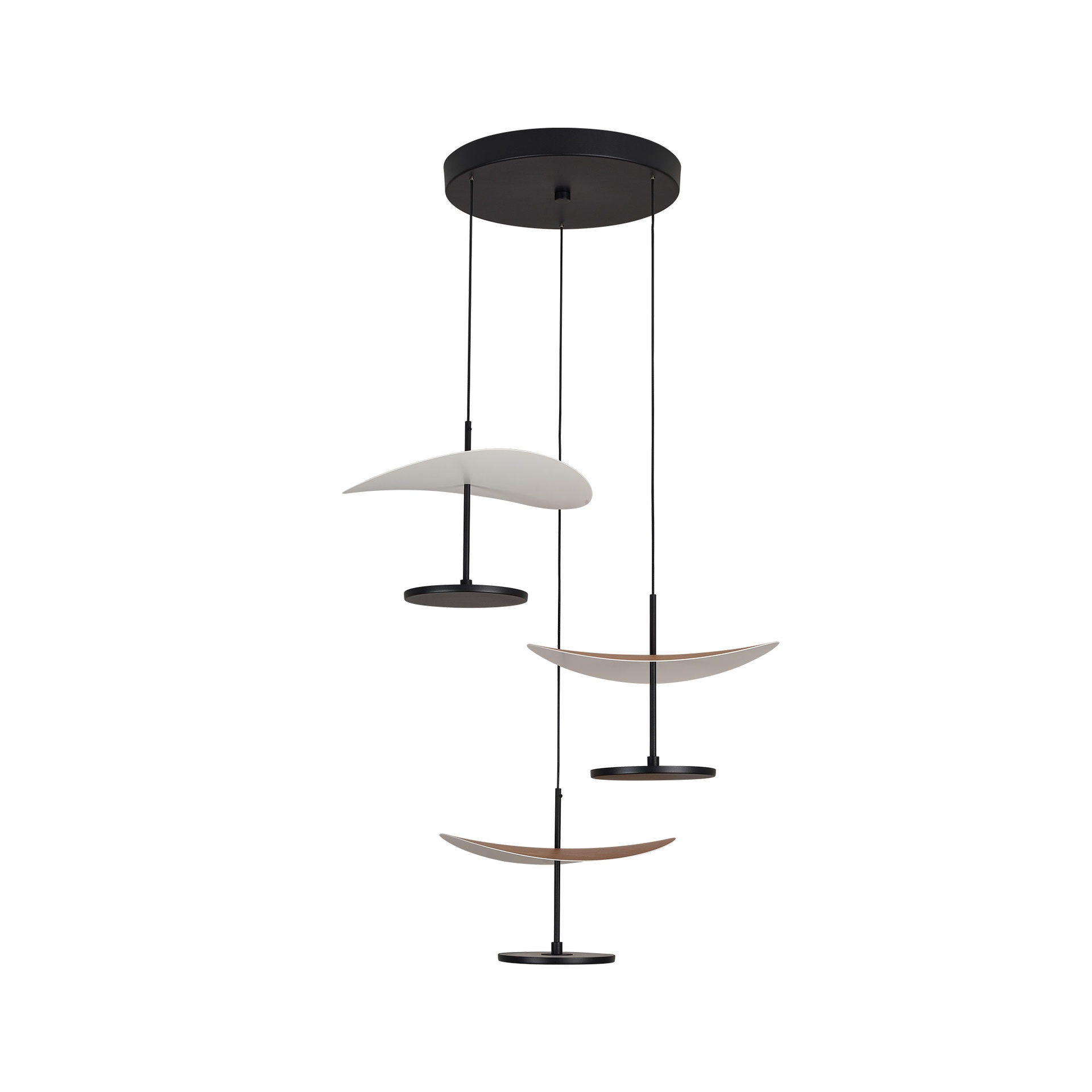 Abisal · Lampade da soffitto · Faggio / Nero