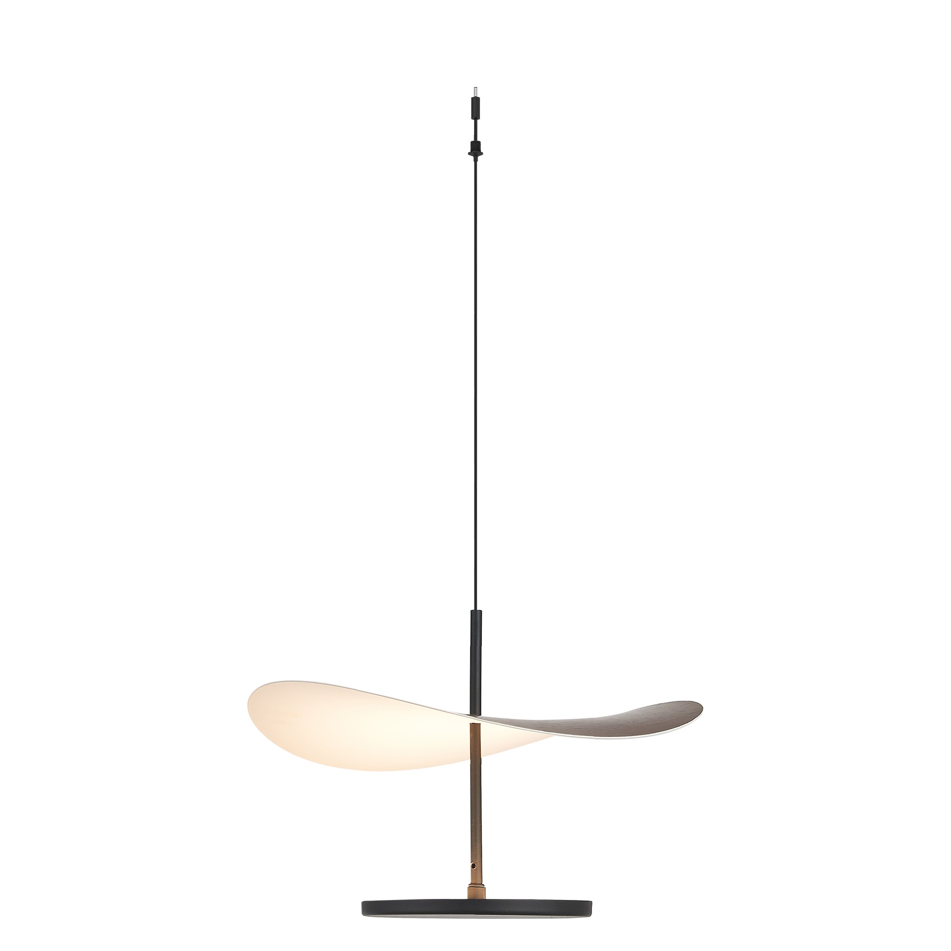 Modular Light 24V Pendant · Modular Light · Noyer / Noir