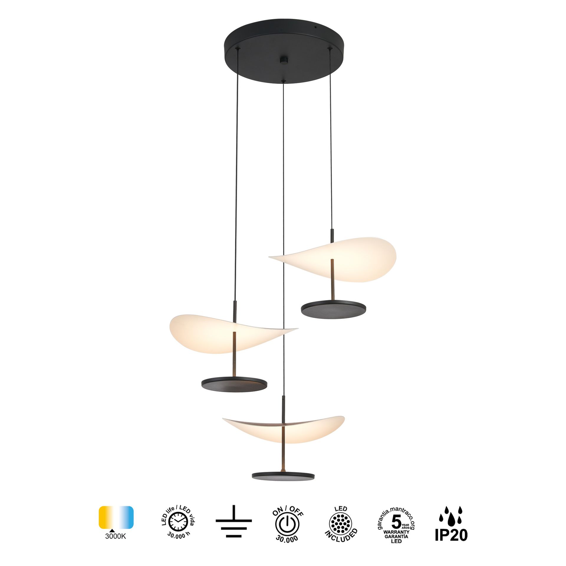 Abisal · Luminarias de techo · Nogal / Negro