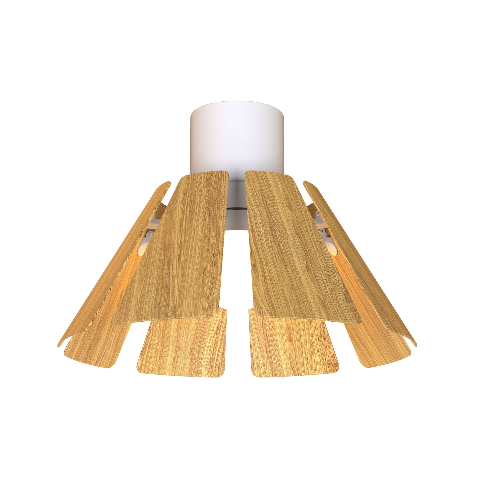 CENTRIFUGUE * FAN WHITE/BEECH