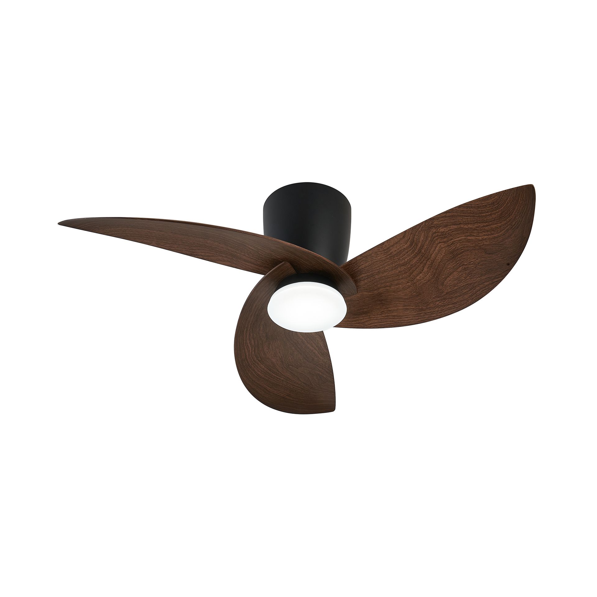 NILO * FAN BLACK/WALNUT