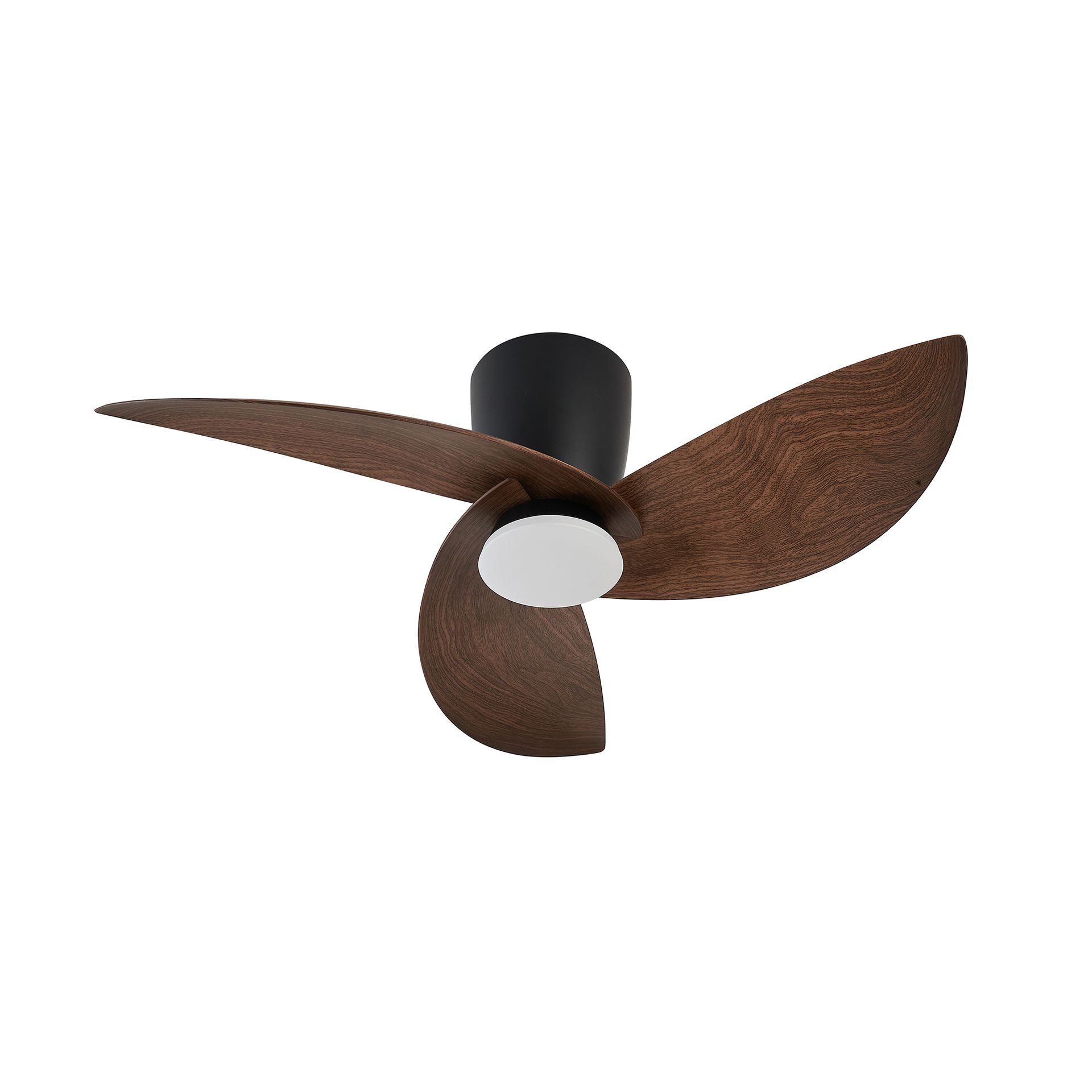 NILO * FAN BLACK/WALNUT