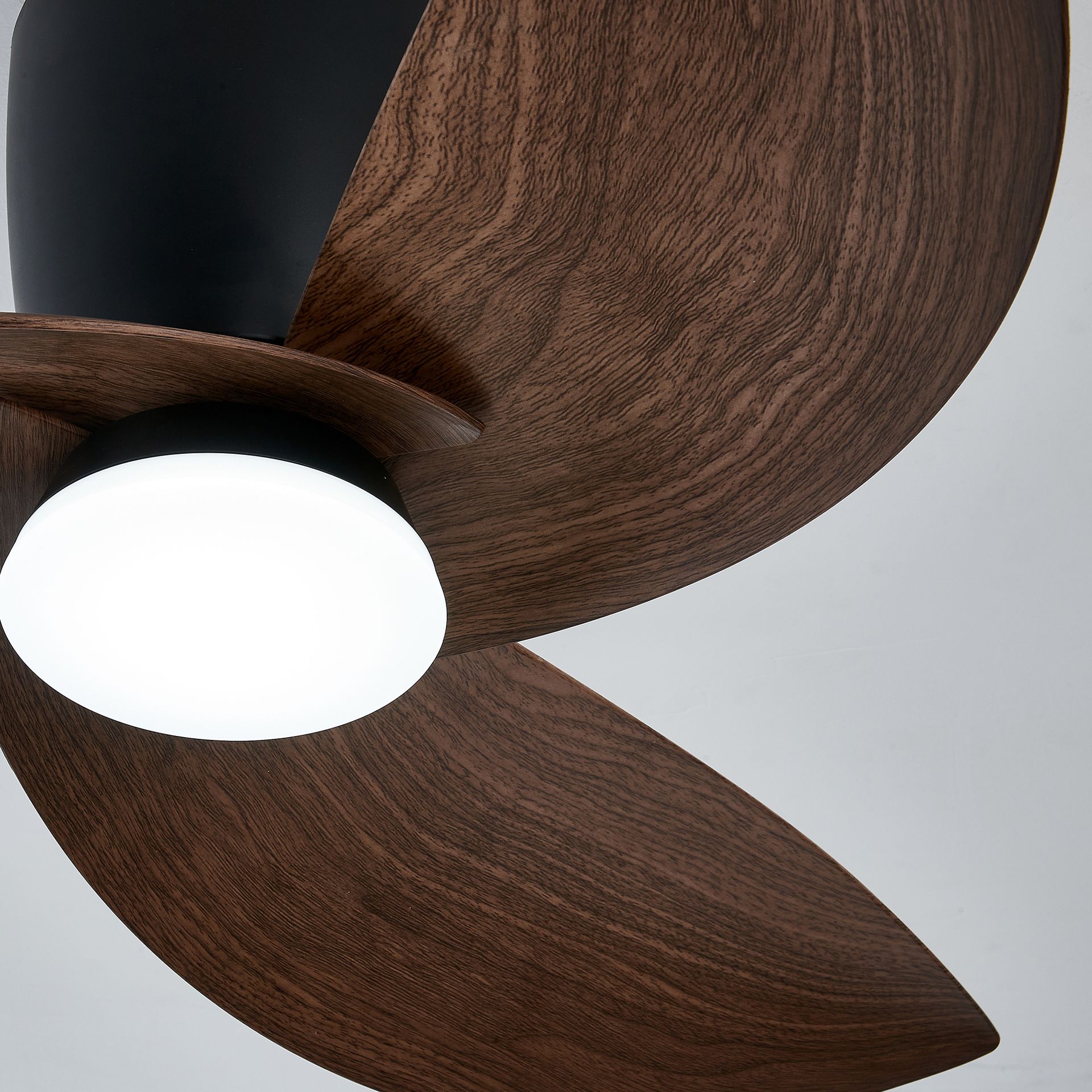 NILO * FAN BLACK/WALNUT
