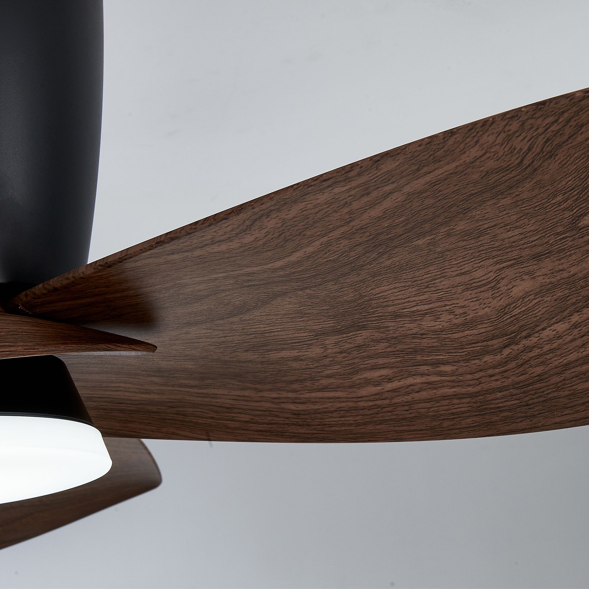 NILO * FAN BLACK/WALNUT