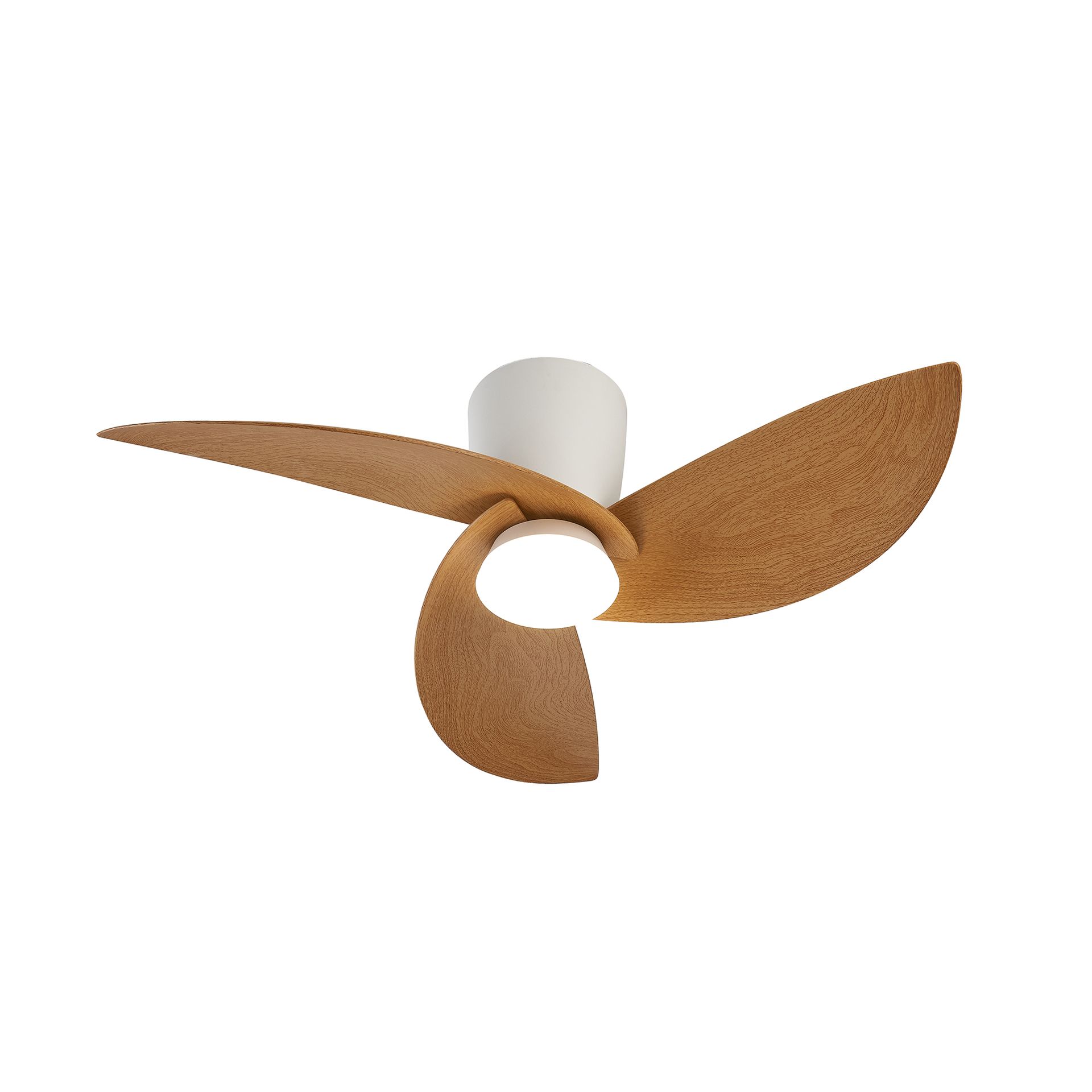 NILO * FAN WHITE/BEECH