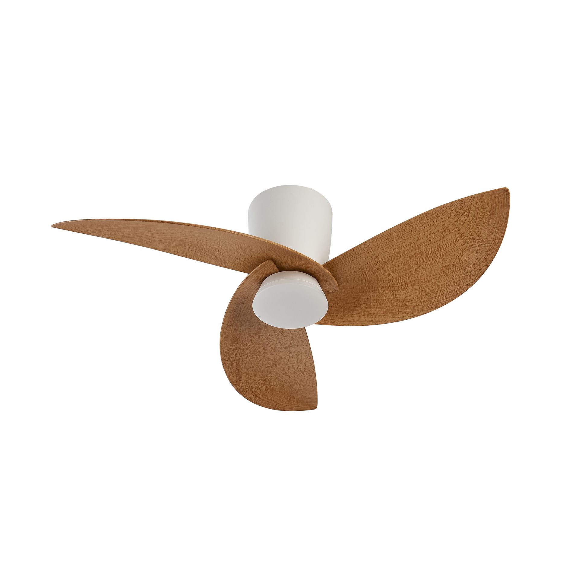 NILO * FAN WHITE/BEECH