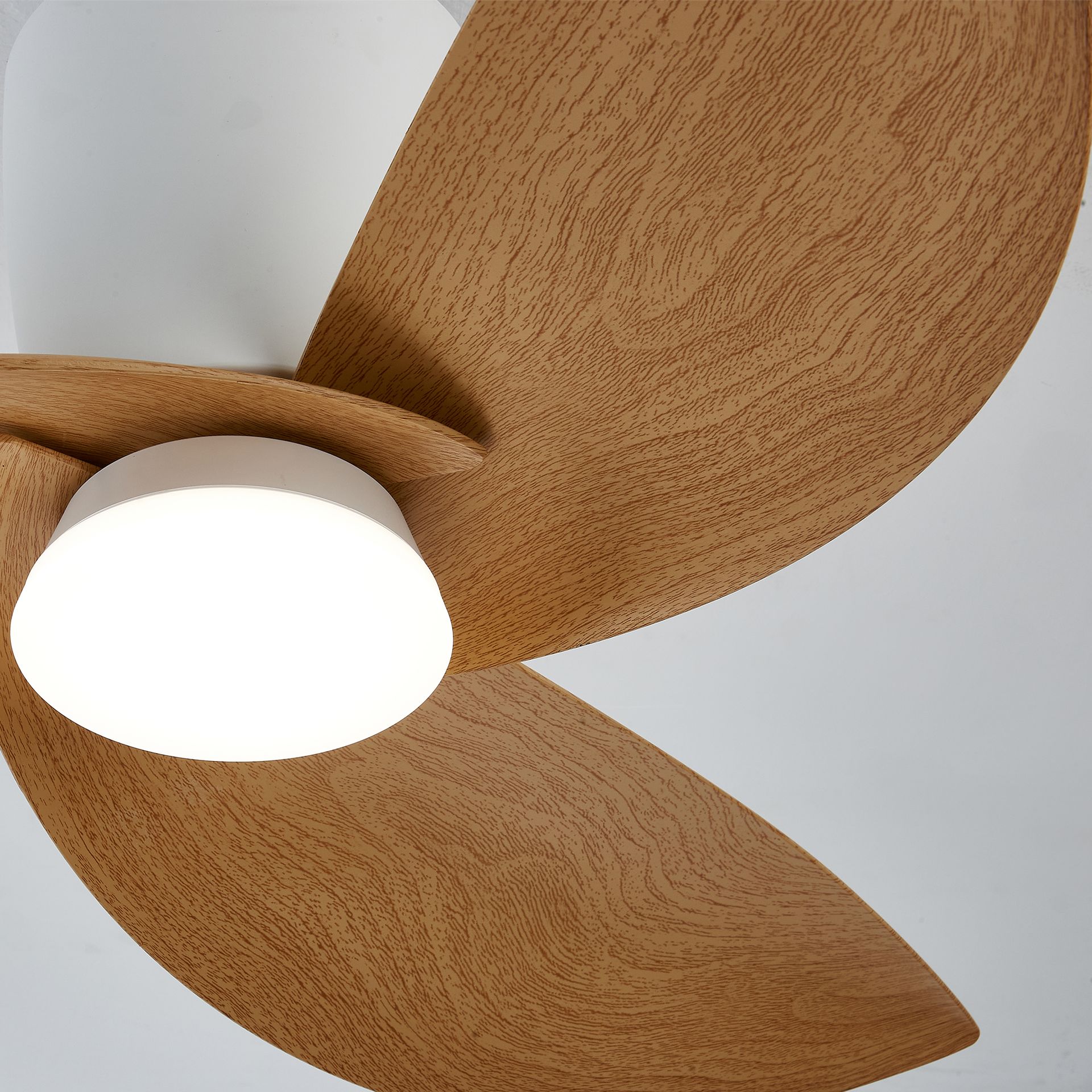 NILO * FAN WHITE/BEECH
