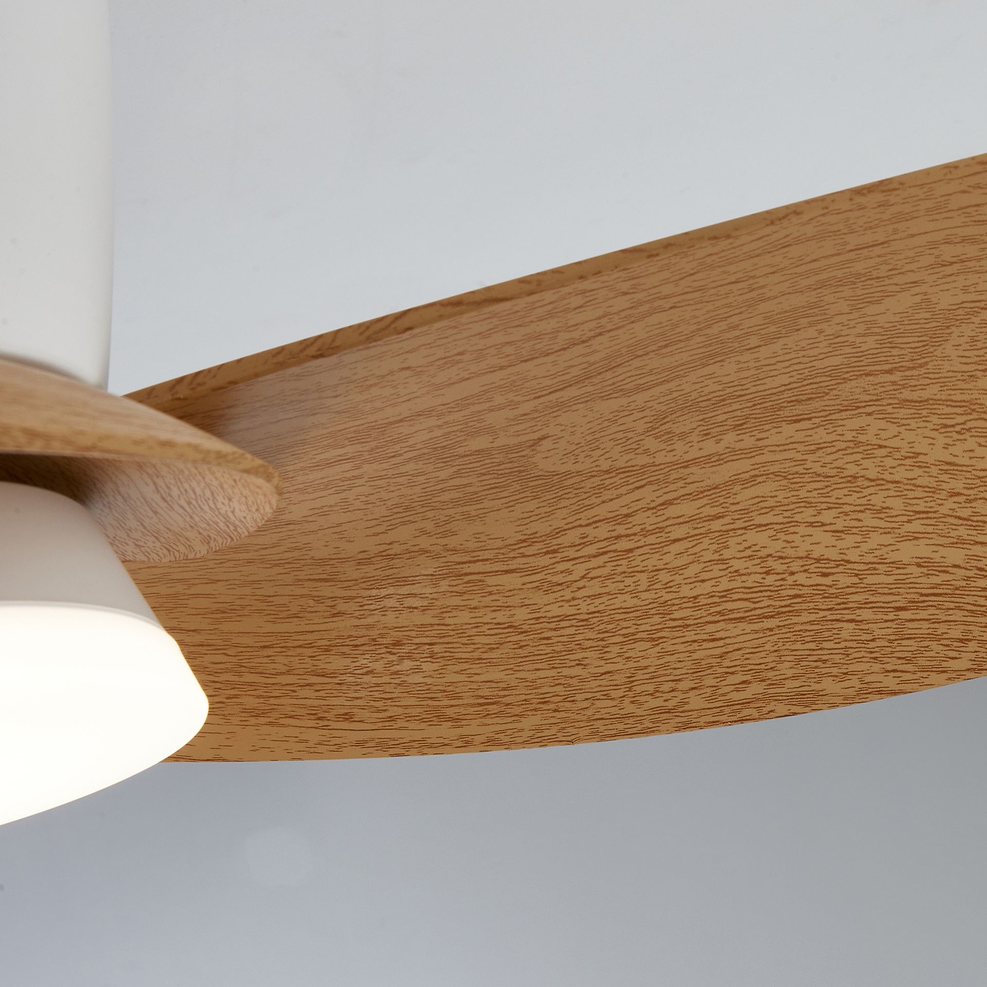 NILO * FAN WHITE/BEECH