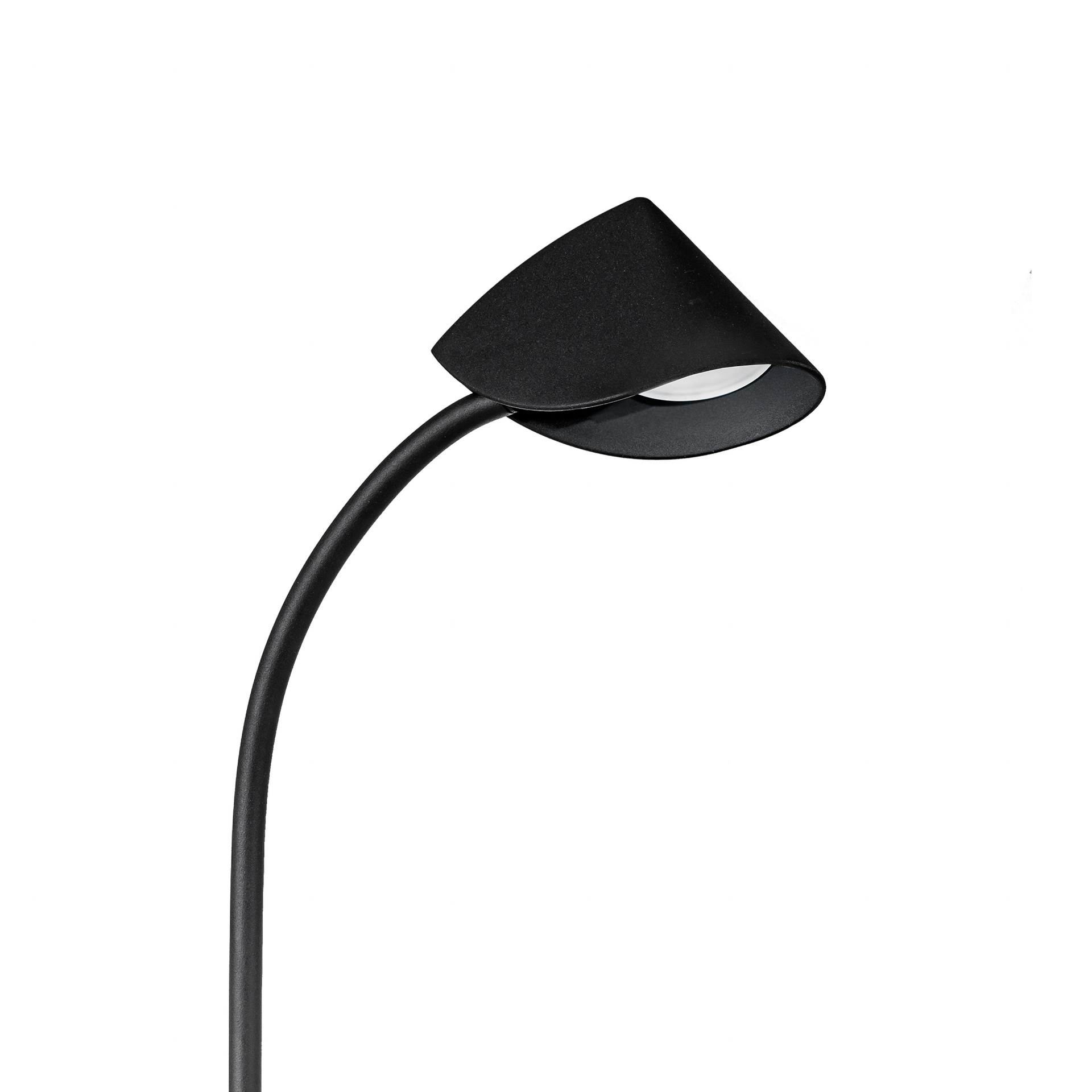 CAPUCCINA * DA TAVOLO LED PICCOLA 8.5W