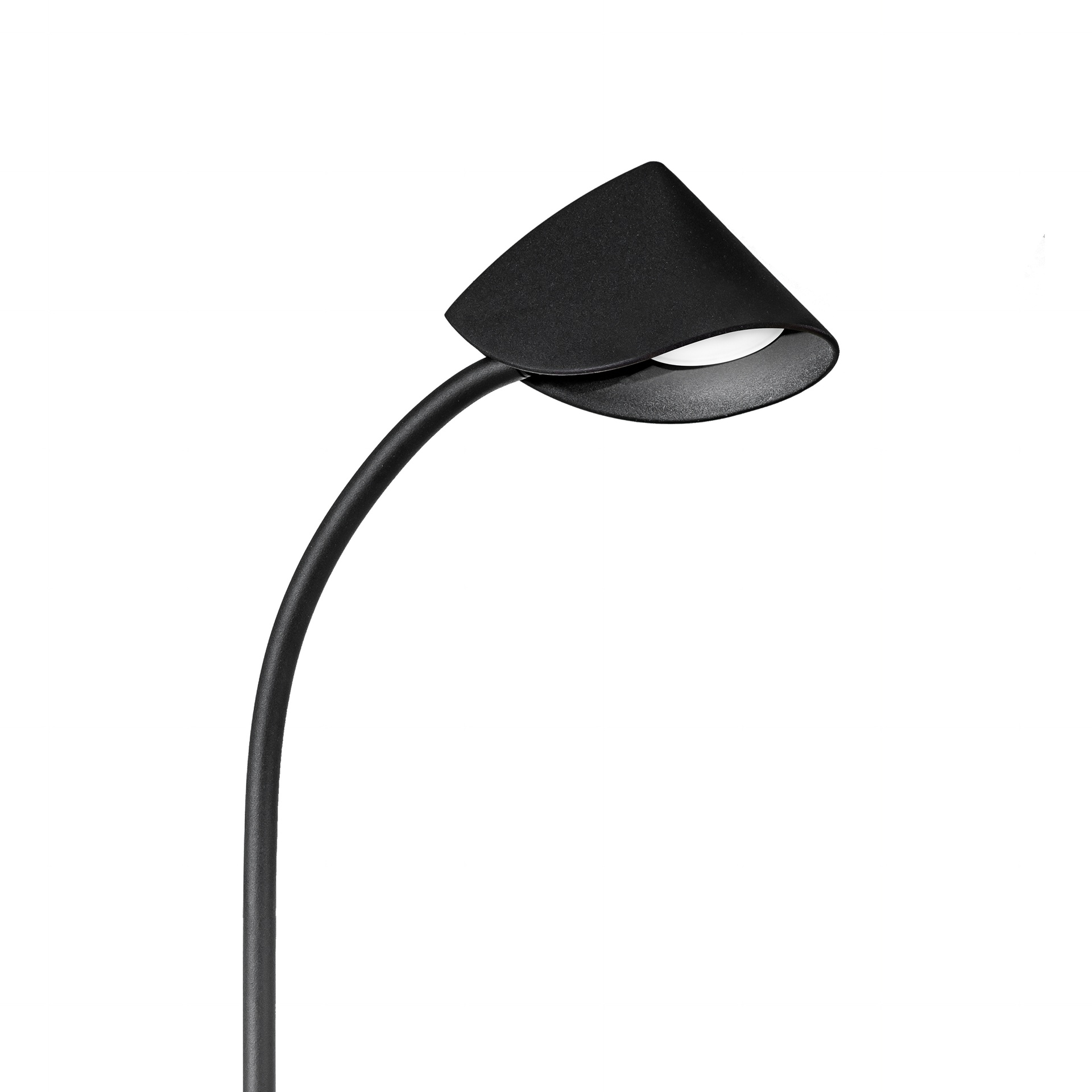 CAPUCCINA * LAMPE DE TABLE HAUTE LED 8.5W