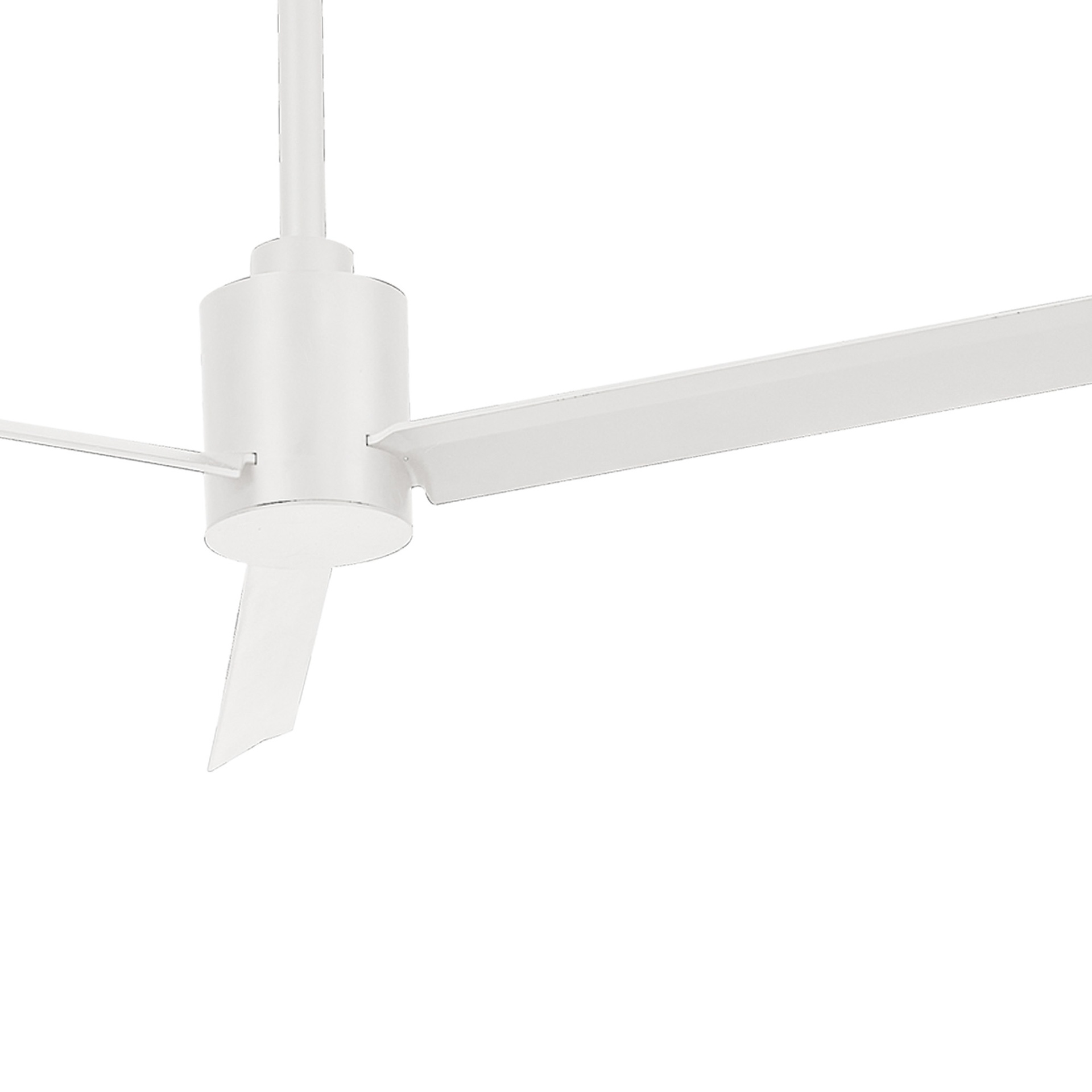 MONKEY FAN * FAN WHITE