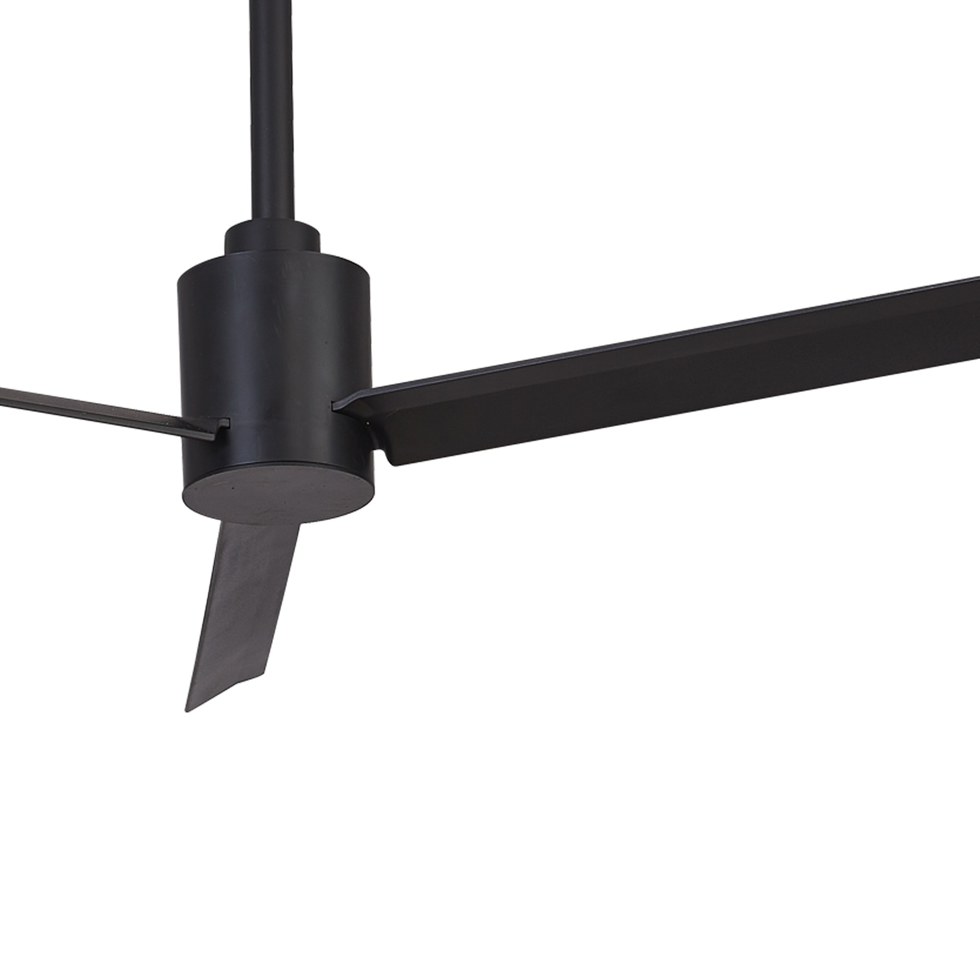 MONKEY FAN * FAN BLACK