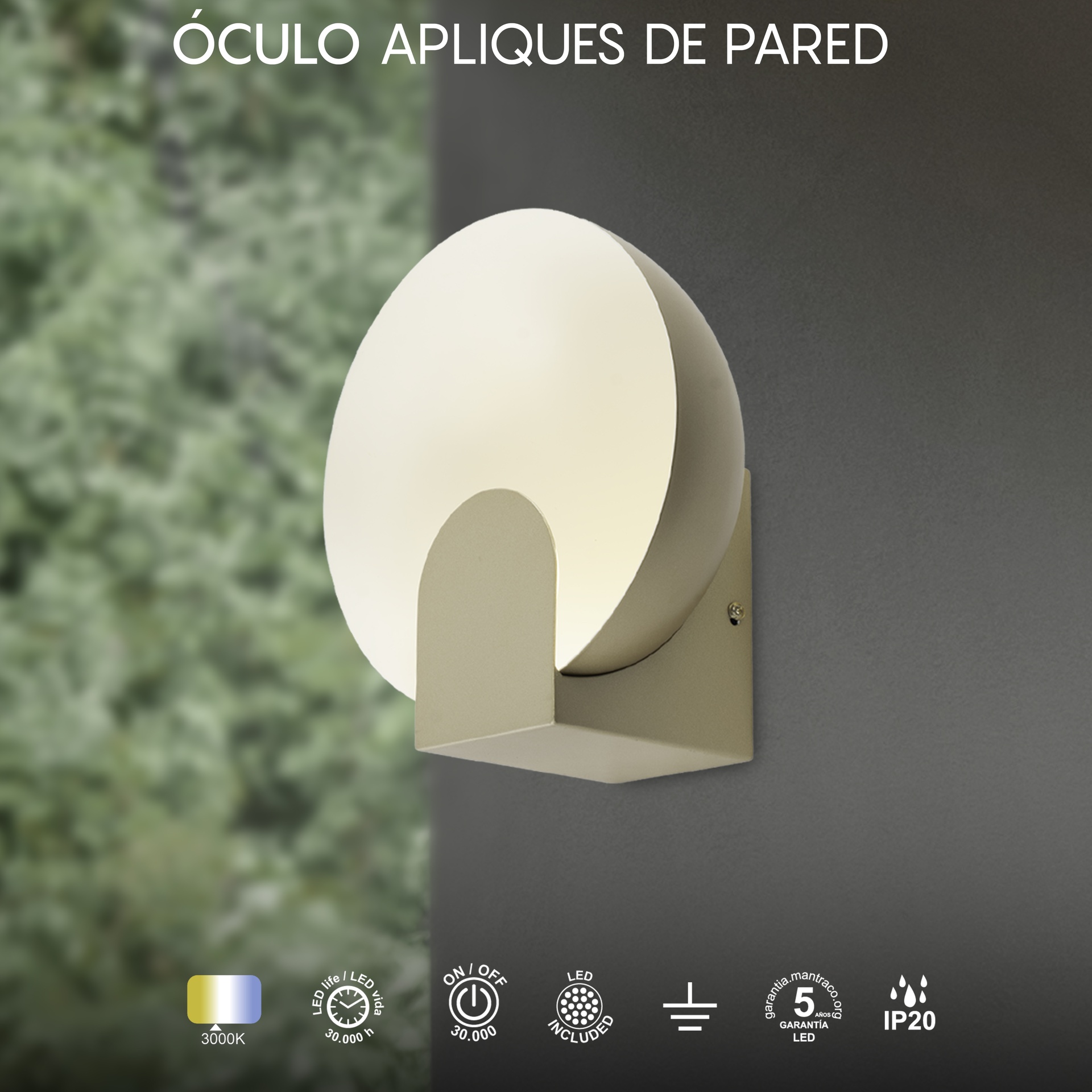 OCULO * LED WALL LAMP (SMALL)  - GOLD