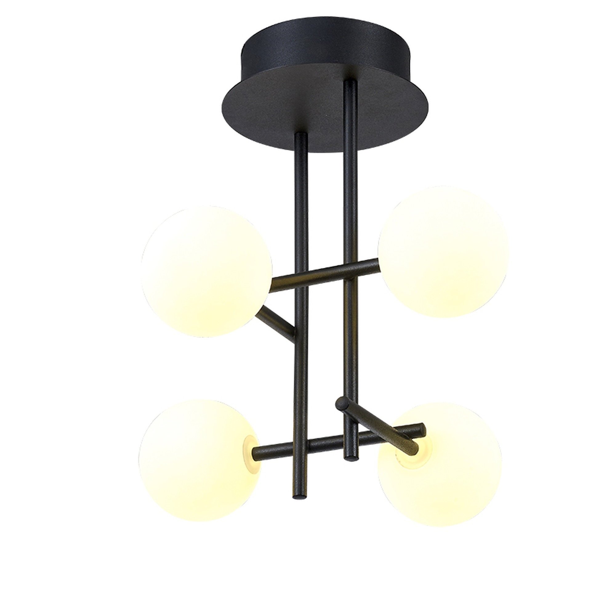 Cellar · Ceiling lights · Black