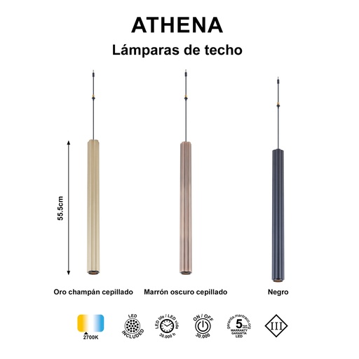 Modular Light 24V Pendant